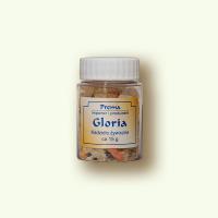 encens GLORIA 20gr - 2€